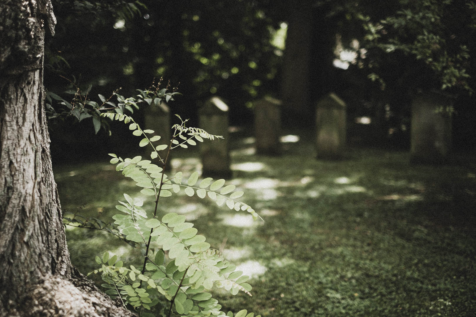 Rinteln, Jüdischer Friehof